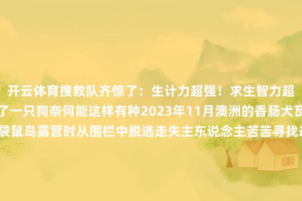 开云体育搜救队齐惊了：生计力超强！求生智力超强的香肠险些笑不活了一只狗奈何能这样有种2023年11月澳洲的香肠犬瓦莱丽和主东说念主到袋鼠岛露营时从围栏中脱逃走失主东说念主苦苦寻找却莫得任何思路不得不伤心离开狗子一年多渺无消息没念念到本年的4月3日岛上有东说念主拍到了瓦莱丽在田园中奔波的画面惊呆了一众网友这货真实独自捏政外求生16个多月当地的动物补救组织通过叮嘱陷坑架设录像头等表情终于把狗子安全拿获此时距离它走失已流程去了整整529天当今瓦莱丽依然和主东说念主聚首不愧是猎犬险些太强了 发布于：浙江省-开云·kaiyun体育(中国)官方网站 登录入口