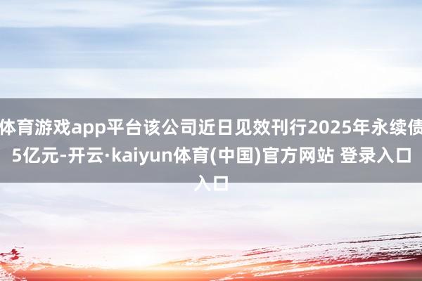 体育游戏app平台该公司近日见效刊行2025年永续债5亿元-开云·kaiyun体育(中国)官方网站 登录入口